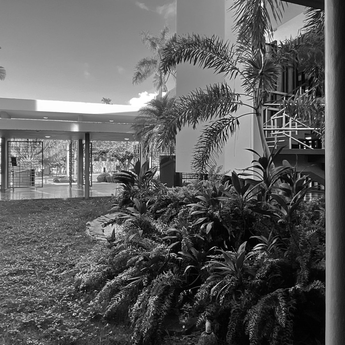 Law School. University of Puerto Rico. Architect Henry Klumb. Photo Andrea Parga, 2022. Source Research and dissemination project FotoExploratorio #klumb #lawschool #university #view #visualclues #foto #photo #modernarchitecture #fotoexploratorio