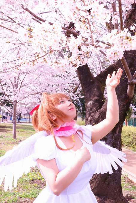 Cosplay🌸カードキャプターさくら❀.*･ﾟ✿゜:。*❀.*･ﾟ✿゜:。*さくらちゃんお誕生日おめでとう🌸いちばんあ