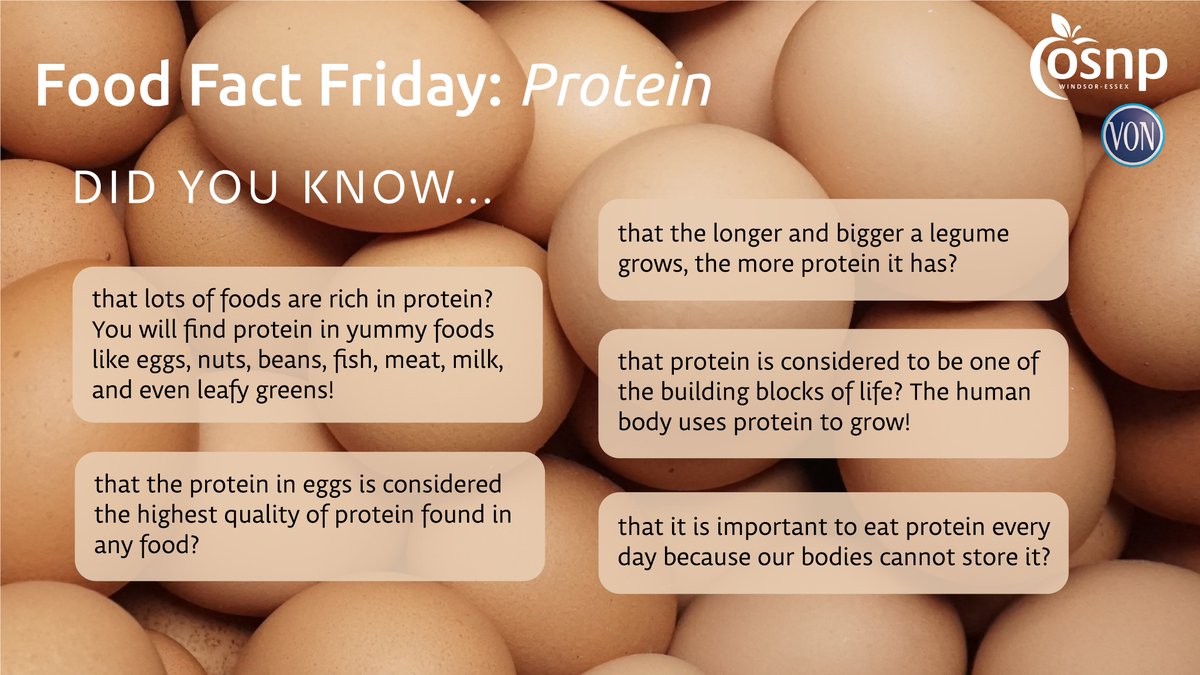 It's #FoodFactFriday! Today we are learning about proteins. Did you any of the fun facts below? Well... now you do! 🥚