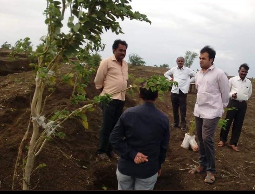 thisismeasp's tweet photo. The 1st pic is from one of my field visits after the monsoon rains, Mr.Daulat Hussain, DFO, Social Forestry &amp; staff also took a lot of interest in this project. Here's a link to a news report on the drought of 2016. https://t.co/jKxcICiiCn https://t.co/ZAf5ER2bAG