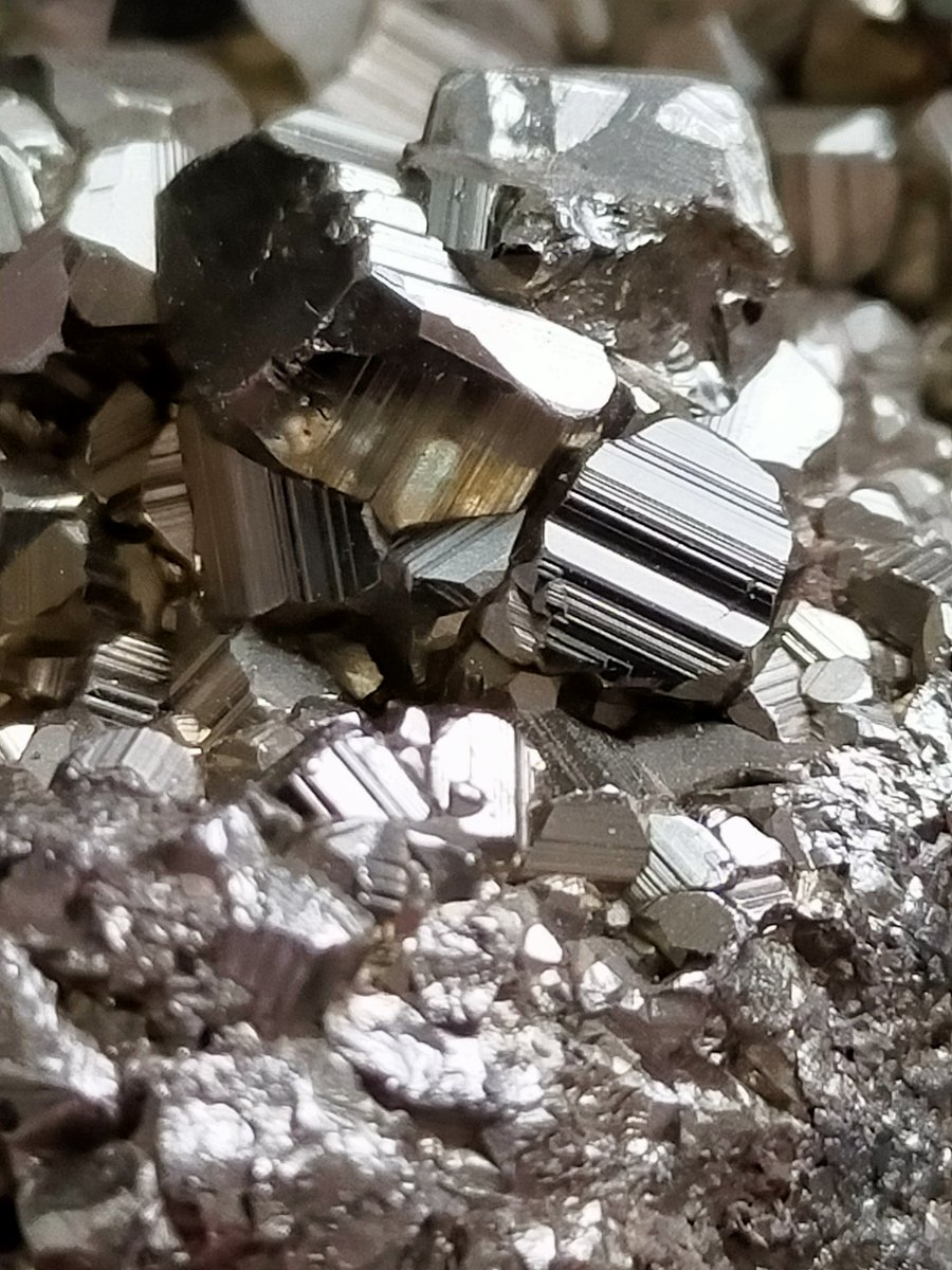 Icik3860's tweet image. Pirit, formülü FeS2 olan, kübik sistemde billurlaşan demir sülfür. Özgül ağırlığı 5-5,02 arasında, sertliği 6-6,5 arasında değişen piritin, billurları metal parlaklığındadır.

©M&amp;amp;Y
#minerals #pirit #pyrite #micro