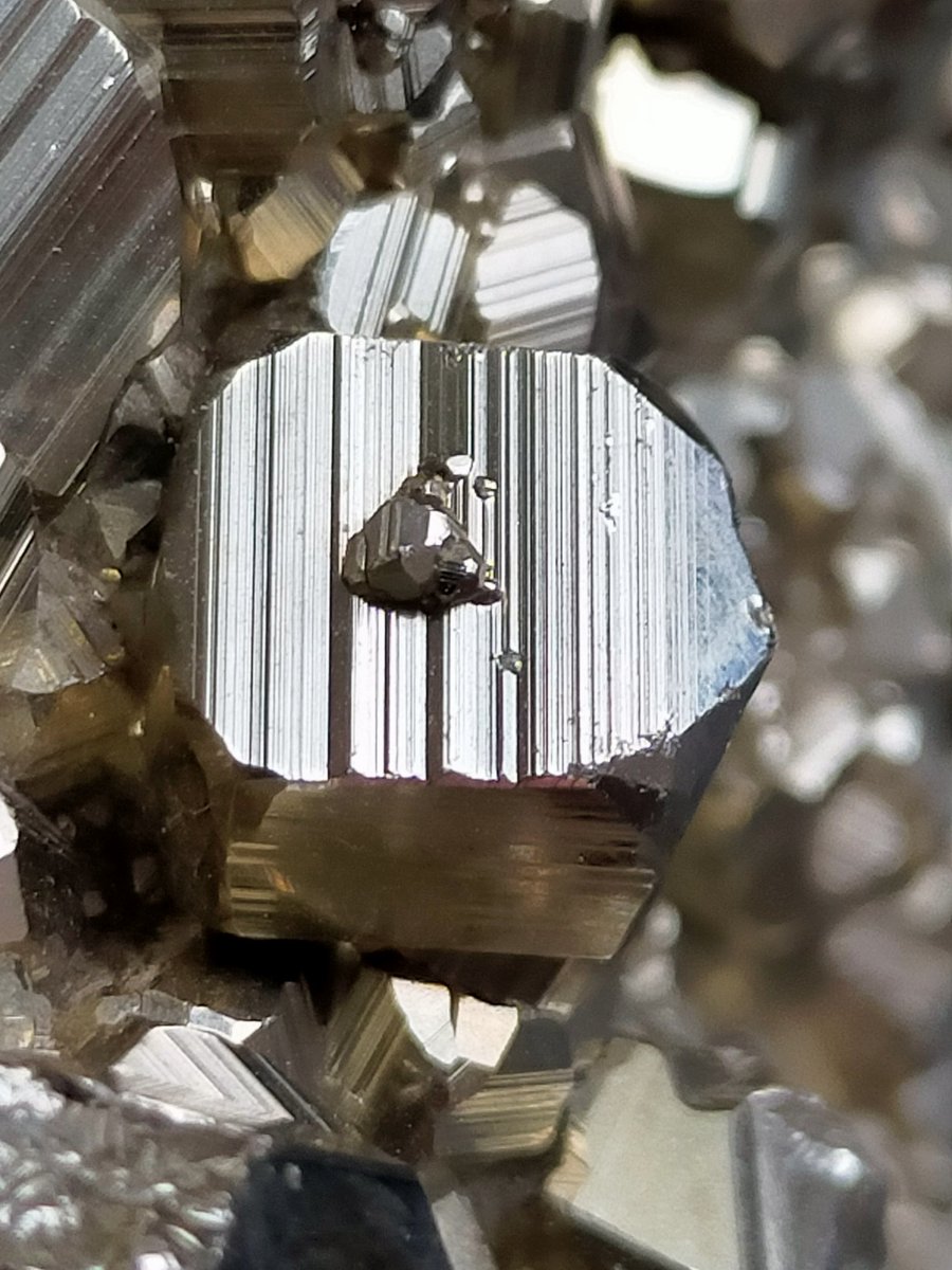 Icik3860's tweet image. Pirit, formülü FeS2 olan, kübik sistemde billurlaşan demir sülfür. Özgül ağırlığı 5-5,02 arasında, sertliği 6-6,5 arasında değişen piritin, billurları metal parlaklığındadır.

©M&amp;amp;Y
#minerals #pirit #pyrite #micro