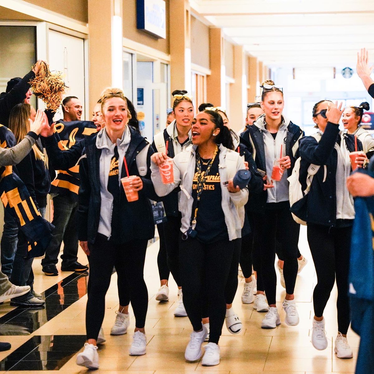 CalAthletics's tweet image. The Golden Bears have arrived. 🛬

Cheer on @calwgym at the NCAA Regionals! 

#GoBears 🐻