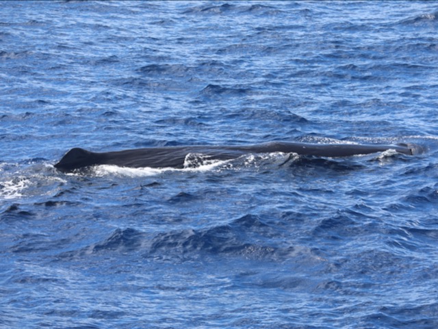 Andrew Ellis Evans tweet media