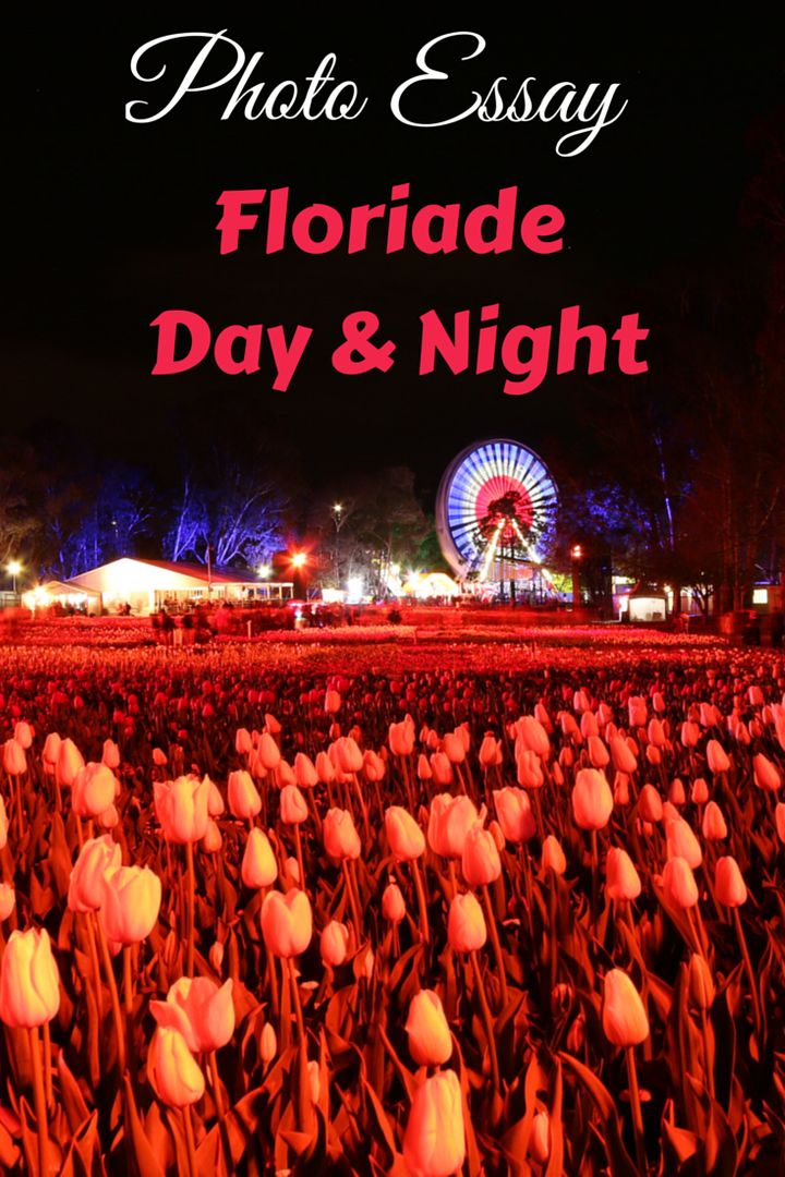 Photo Essay: Floriade Night and Day bit.ly/3jRa29G