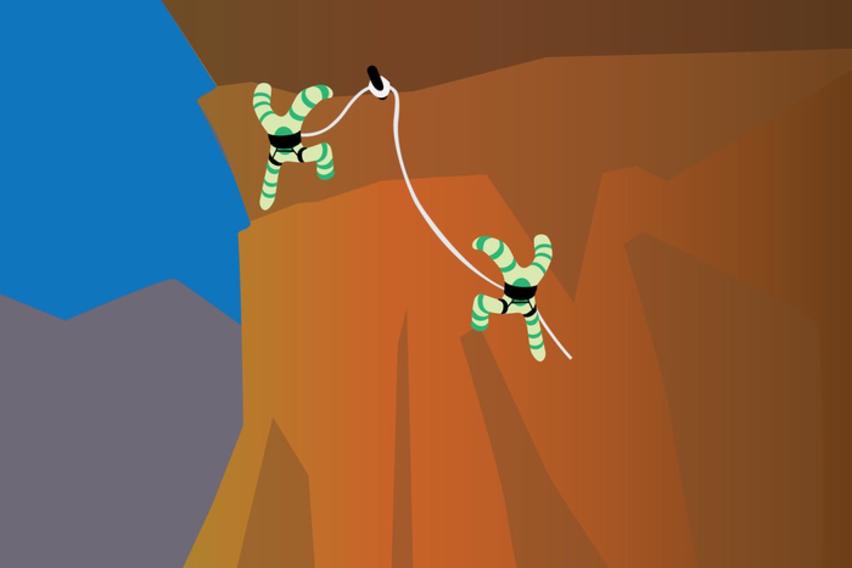 “This is a new way of thinking about how the X chromosome is expressed and how it might be impacting our biology,” postdoc Adrianna San Roman says. 

<a href="/PageLabXY/">Page Lab</a> finds the so-called inactive x chromosome playing an underappreciated role in gene regulation: wi.mit.edu/news/not-so-in…