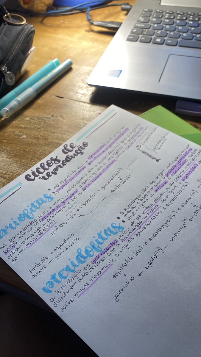 gcfnotes's tweet image. pela milésima vez pra ver se entra