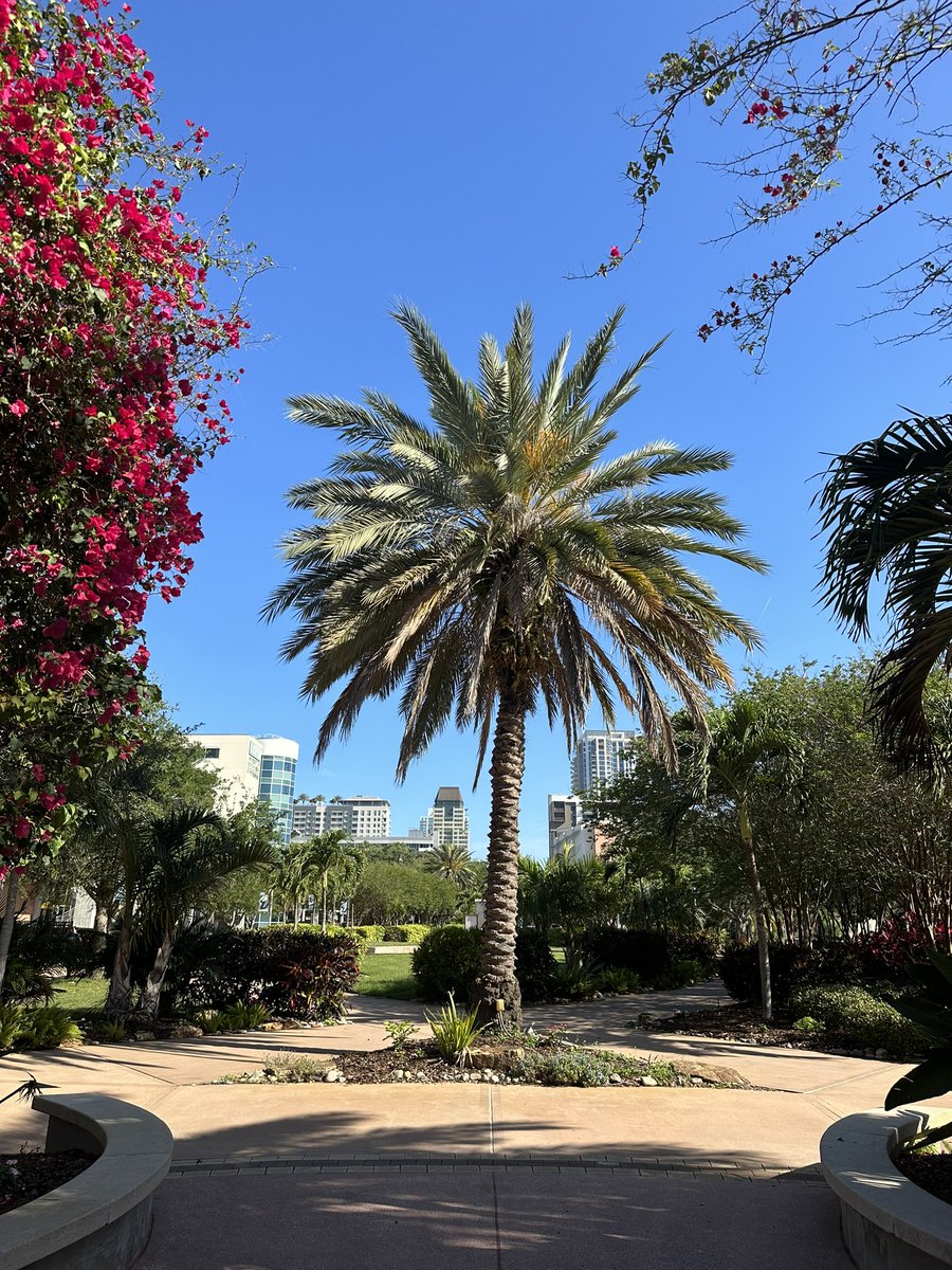 genkiaussie's tweet photo. What a great way to end the week! Thank you @USouthFlorida for hosting me at your beautiful #StPetersburg campus with @TEANabroad https://t.co/0lfuaot9M1