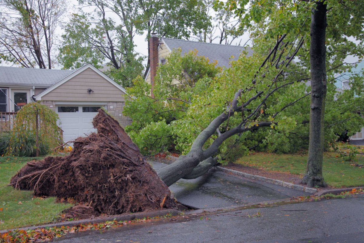 RollinsInsLLC's tweet photo. My Neighbor's Tree Fell Into My Yard. Who Is Responsible?
VIEW TIPS... https://t.co/o4jmLC8its

#trees #treedamage #treecleanup #treemaintenance #homeowners #homeimprovement #homeandgarden #nky #northernkentucky #florence #union #burlington #hebron #erlanger https://t.co/pKK5qcasB3