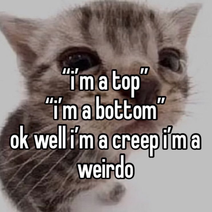 𝚉𝚘𝚎 𝙱𝚊𝚔𝚎𝚛 🏳️‍🌈 🏳️‍⚧️ (@leftbehindbaker) on Twitter photo 