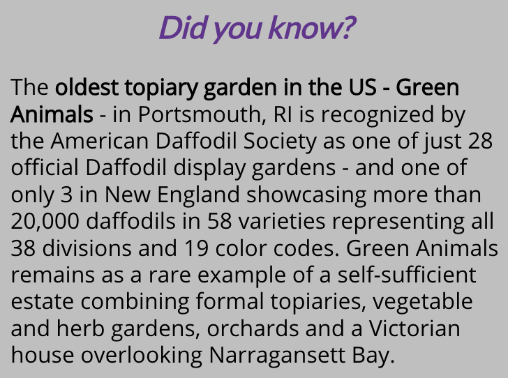 Did you know?

Green Animals - Portsmouth, RI
#Greenanimals #topiary #Daffodil #DaffodilDays #PortsmouthRI #RhodeIsland #DidYouKnow