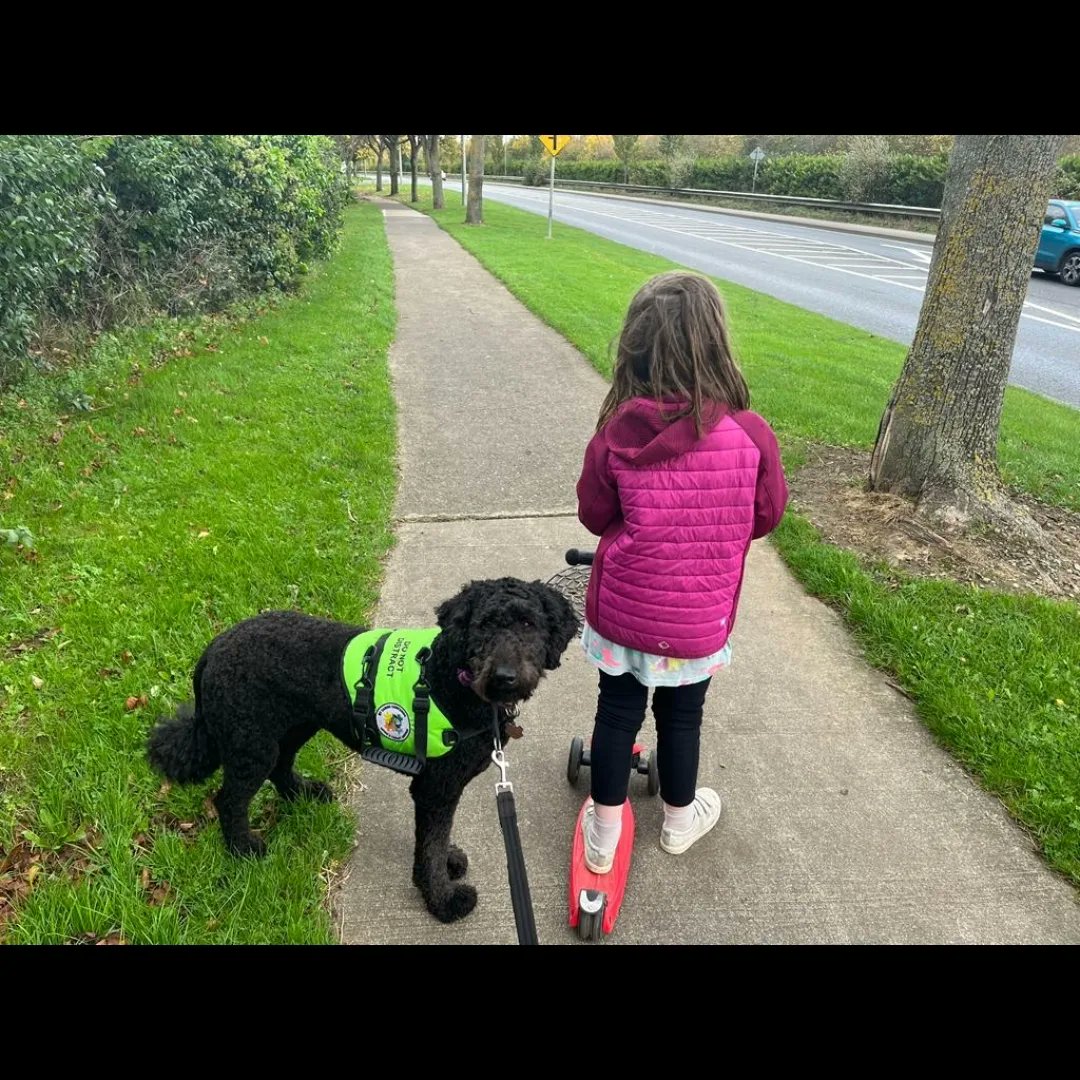 MalahideCC's tweet photo. Fantastic turnout for the Malahide Cricket Club quiz in aid of @mycaninecompanion . #autismawarenessweek #autismservicedog https://t.co/AIqykjvCJE