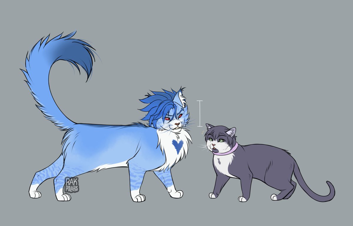BEFORE & AFTER 🤭🤭 
(apparently Ainosuke is a Maine Coon, so he grew up into a REALLY big cat as an adult~) 
#SK8THEINFINITY #SK8エスケーエイト #aitada #tadaai #忠爱 #爱忠 #ainosukeshindo #tadashikikuchi