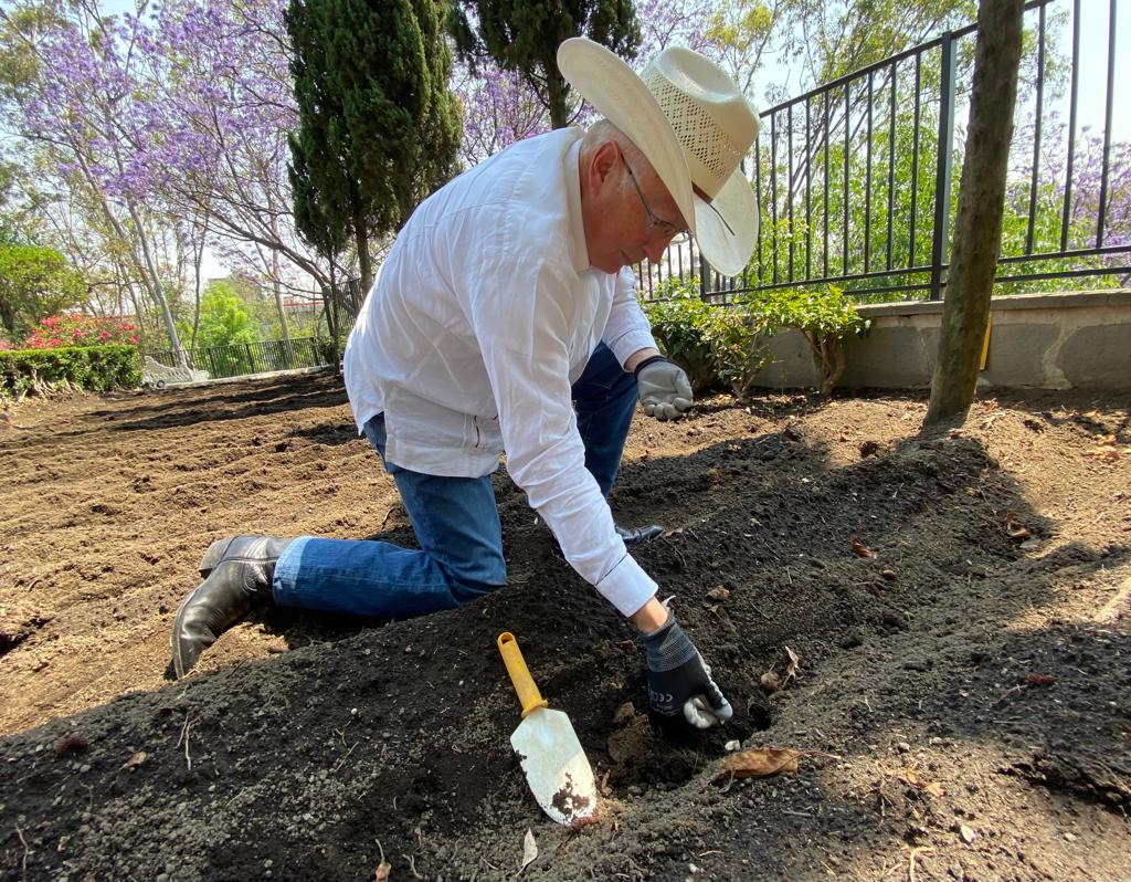 Con este cuadro reconozco la lucha de #CésarChávez y la gran labor de los trabajadores agrícolas para la prosperidad de 🇲🇽 y 🇺🇸. El campo representa nuevos comienzos y, así como sembramos en la huerta de la residencia, con el #TMEC sembramos nuestro futuro hoy. #CesarChavezDay