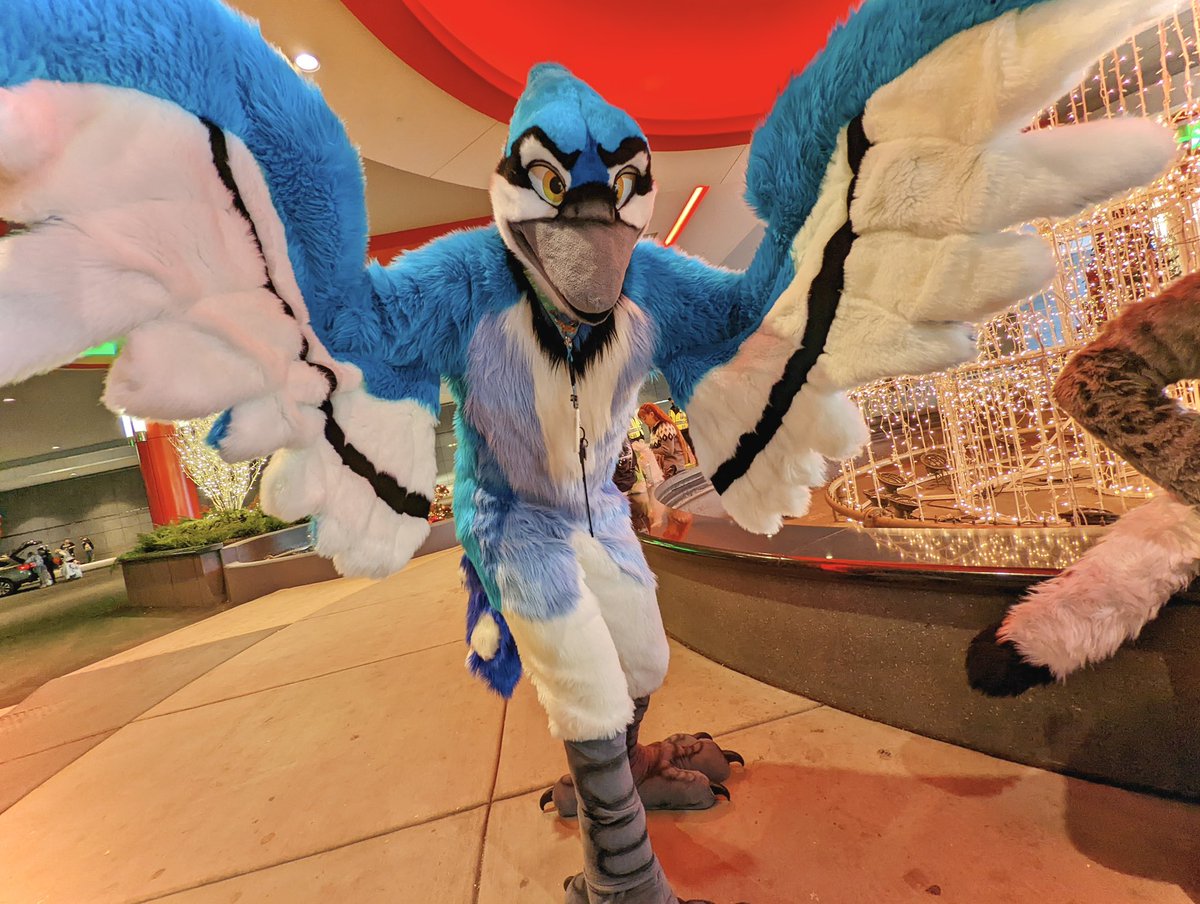 oƃᴉʇɹǝʌNI (@vertigojay) on Twitter photo Over the past week, the general consensus so far is that wing hugs are 👍👍
Pictured: The very last thing you’ll ever see before it happens #FursuitFriday
📸: <a href="/TheDizziest/">Bene Dizzerit 🏜️</a>
<a href="/MadeFurYou/">Made Fur You</a> Over the past week, the general consensus so far is that wing hugs are 👍👍
Pictured: The very last thing you’ll ever see before it happens #FursuitFriday
📸: <a href="/TheDizziest/">Bene Dizzerit 🏜️</a>
<a href="/MadeFurYou/">Made Fur You</a>