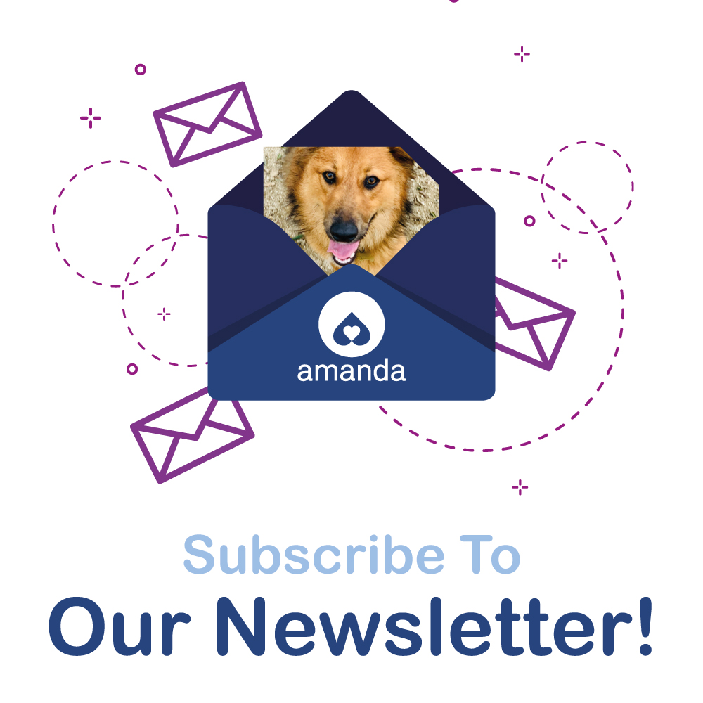 Today  is your last chance to win a $50 Pet Food Express Gift Card by signing  up for our newsletter! Get Amanda updates straight to your inbox - sign  up here amandafoundation.org/newsletter-sig… #amandafoundation #loveneverstrays