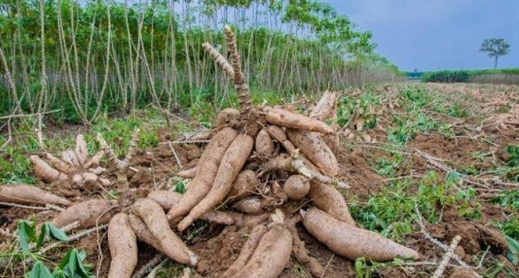 MinmonPS7's tweet photo. Kerja Petani      Kerja Menhan https://t.co/77N5kEm17B