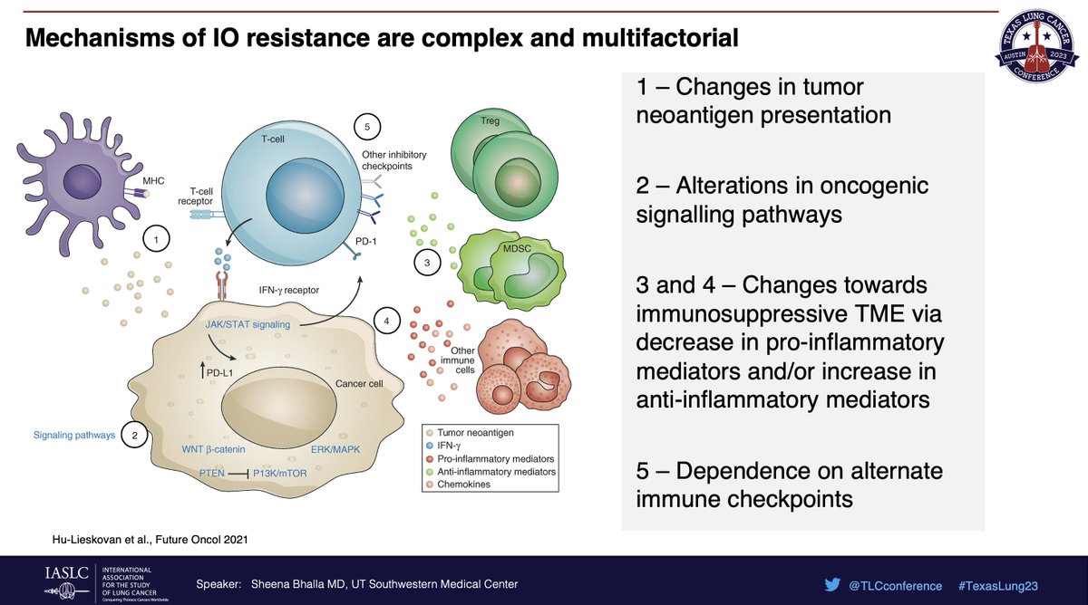 StephenVLiu's tweet photo. Dr. @SheenaBhallaMD gives a thoughtful overview of overcoming resistance to immunotherapy in NSCLC at #TexasLung23. Many mechanisms and they will likely differ between primary and acquired resistance. Encouraging strategies in development but need biomarkers here. https://t.co/FWoGu883YY