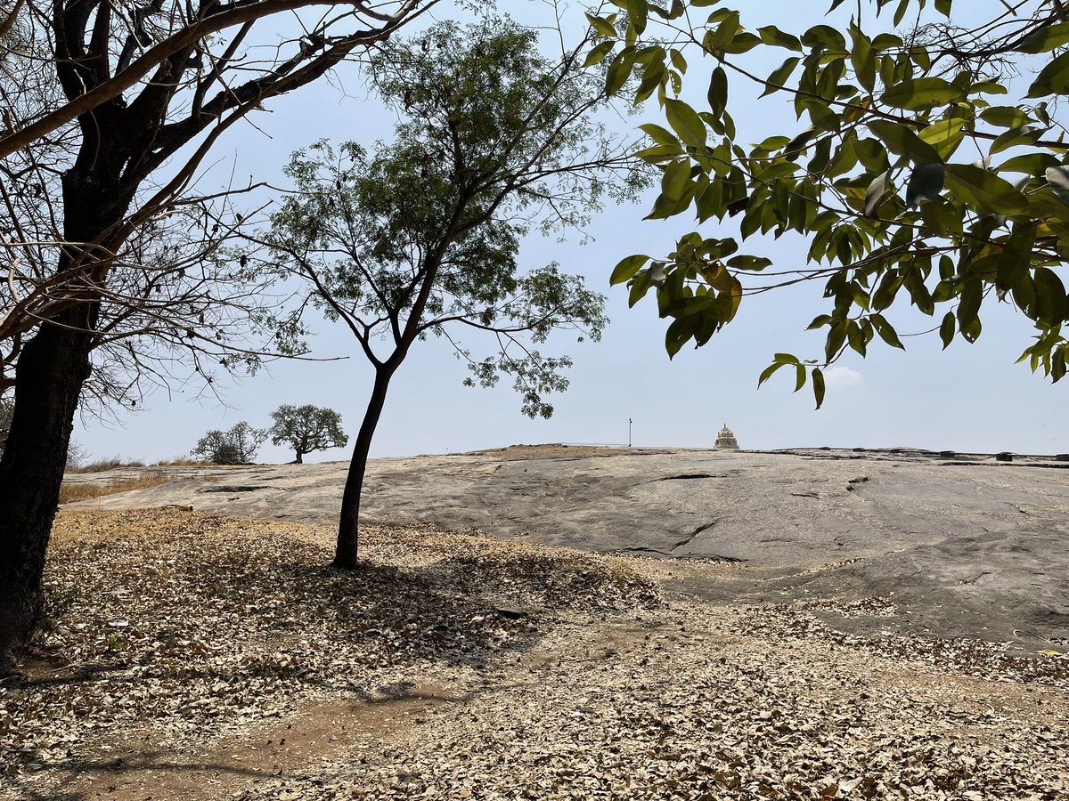 Exploring incredible #GeoHeritage
Peninsular gneiss at Lalbagh, Bengaluru

Among the oldest rocks in the world 
Around 3.4 billion years old !

Earth ~ 4.5 billion years old
Plant life began ~ 500 million yrs ago
Dinosaurs lived ~ 250-65 mya
Himalaya was formed ~ 50 mya
