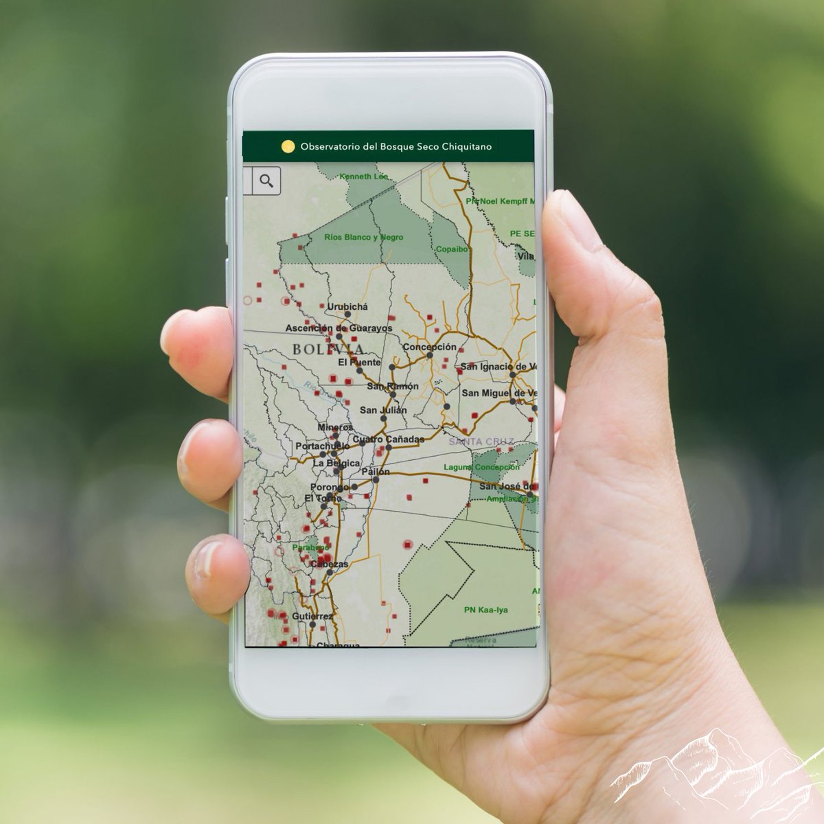 RedLAC1's tweet photo. se encuentra el programa Observatorio. 🌳

Para conocer más, entra al tour virtual por el Bosque, en el siguiente enlace:   https://t.co/odC2kxBfMr

#RedLACMembers
#FondosAmbientales 
#BosqueChiquitano https://t.co/UnL2lL5wD7