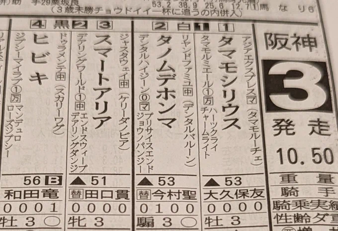 明日の阪神第3レース ヒビキって馬が走るんですよドゥラメンテ産駒鞍上 和田竜二 