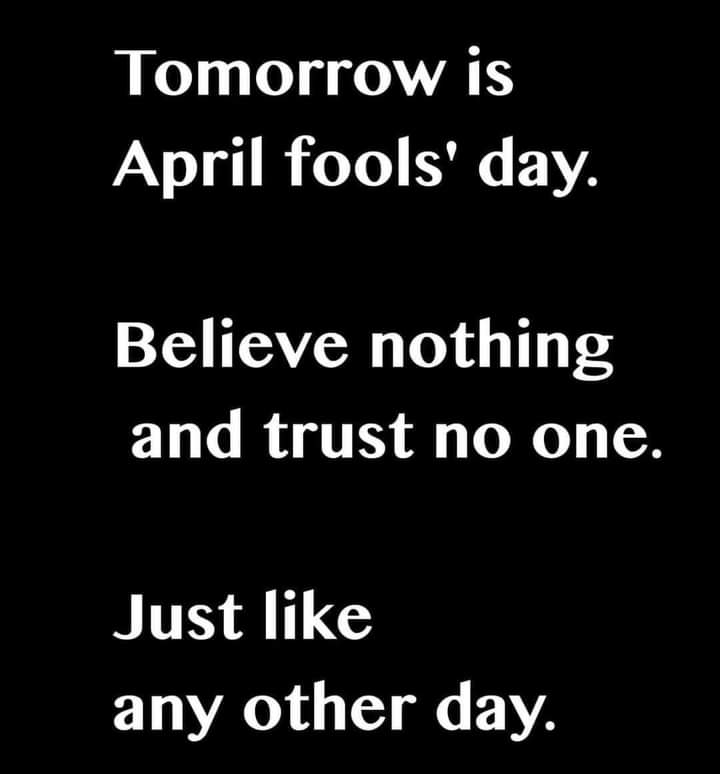 Amy Maupin (@rockerchickamy) on Twitter photo 