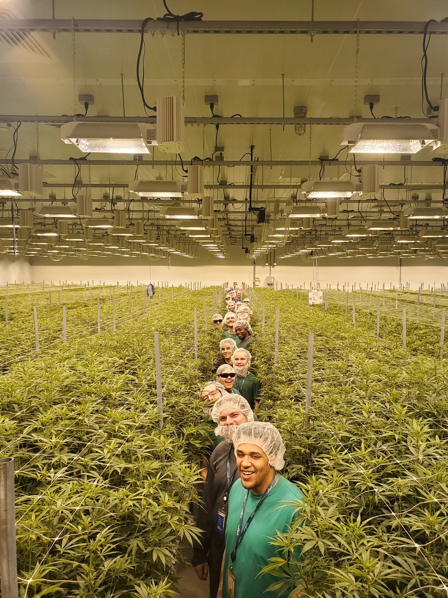 It's a sea of green! The team lined up in our new flower room in our Ravena, NY facility. 

📸: David Russo (Cultivation Manager)