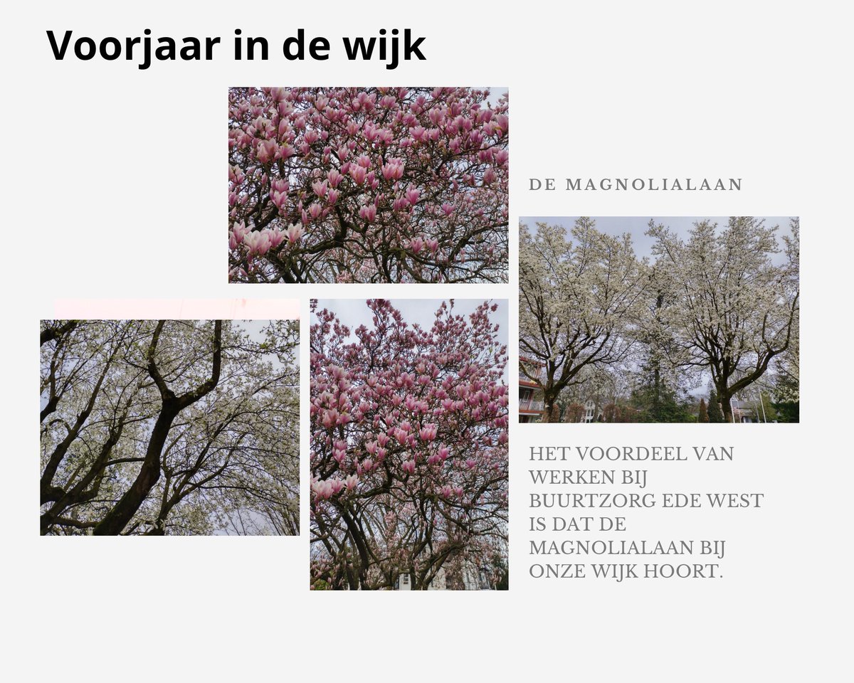 Buurtzorg Ede West tweet media