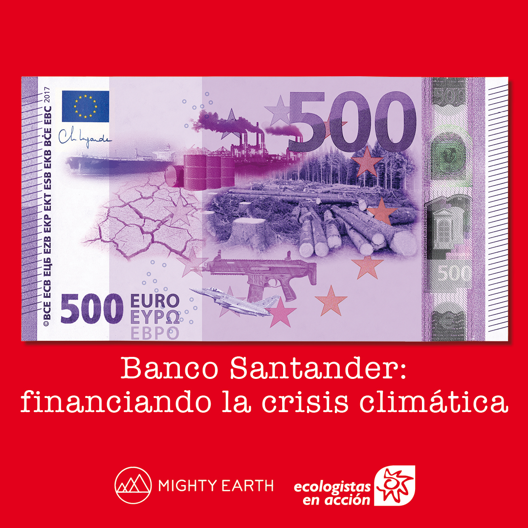 EeAExtremadura's tweet image. 💰Entre los años 2010 y el 2022 @bancosantander ofreció crédito por valor de 11.086 millones de dólares a los sectores más implicados en la deforestación mundial: madera, papel, aceite de palma, carne de vacuno, soja y caucho.
#SantanderBancoSucio #FossilBanks

#EeAExtremadura