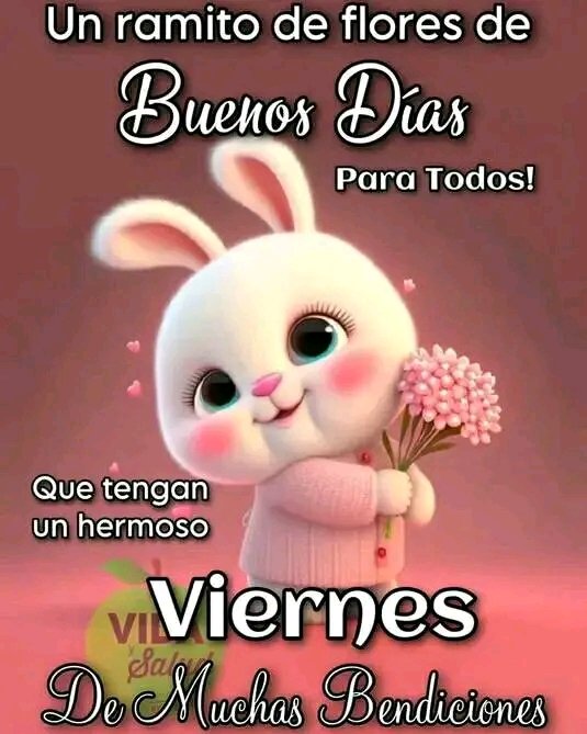 Guadalupe Perez V (@perezvguadalupe) on Twitter photo 