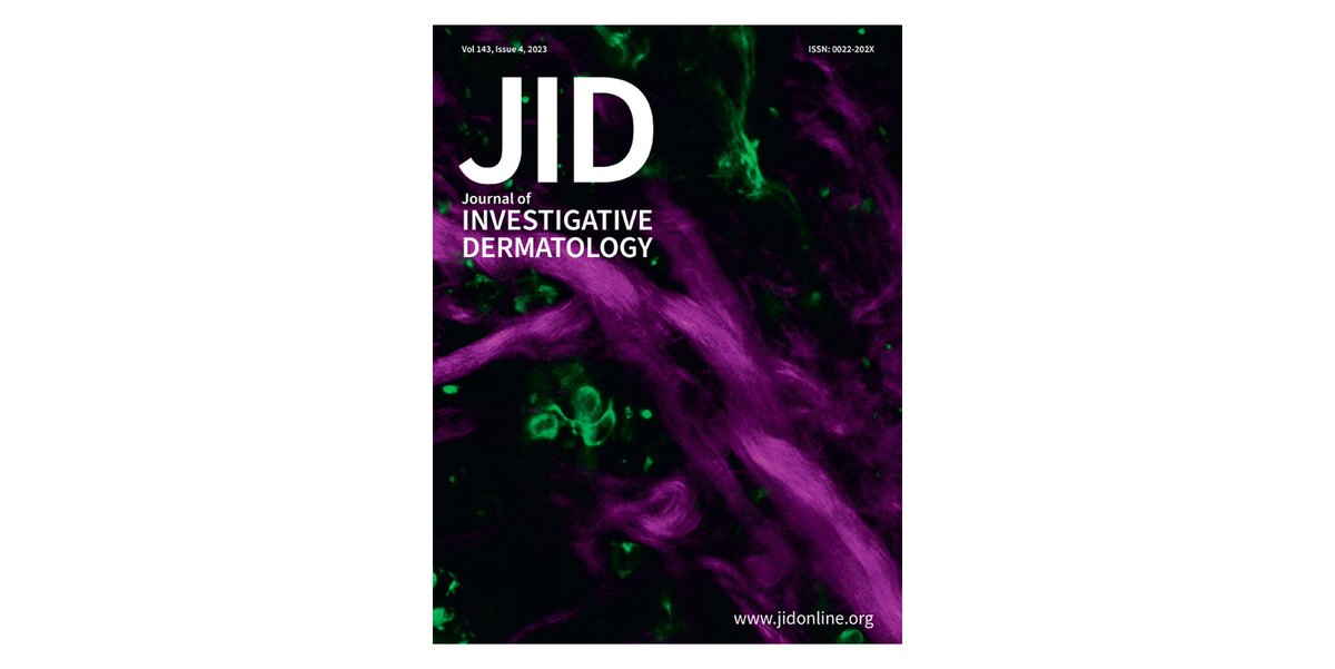 theJIDJournal photo