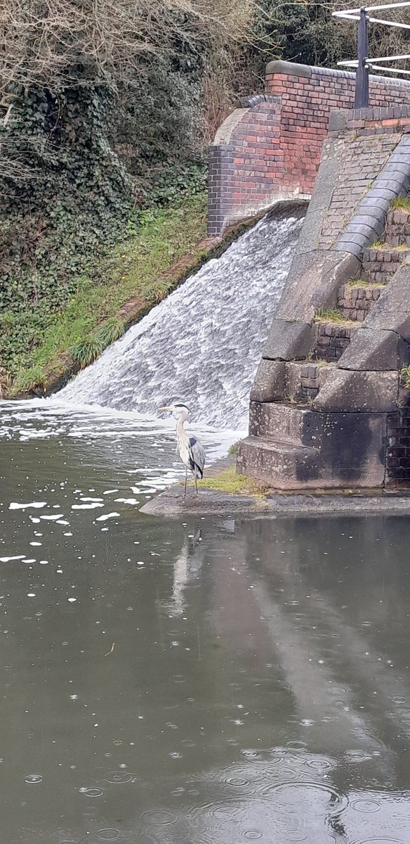 run_taz's tweet photo. Delighted to meet the Bromsgrove Walk Group out at #delphlocks #dudleycanal1
@CRTWestMidlands
#letswalk
#lifesbetterbywater https://t.co/q8sAiHHlJ4