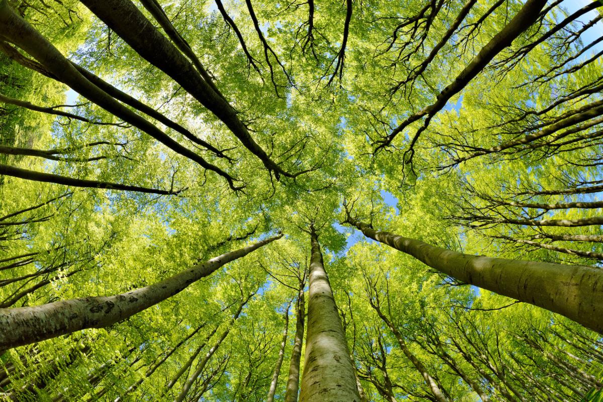 CHANGING SEASONS - REACHING NEW HEIGHTS

ENGLISH/ DUTCH LANGUAGE COURSES FROM 17 APRIL

conta.cc/3Kk3nzb