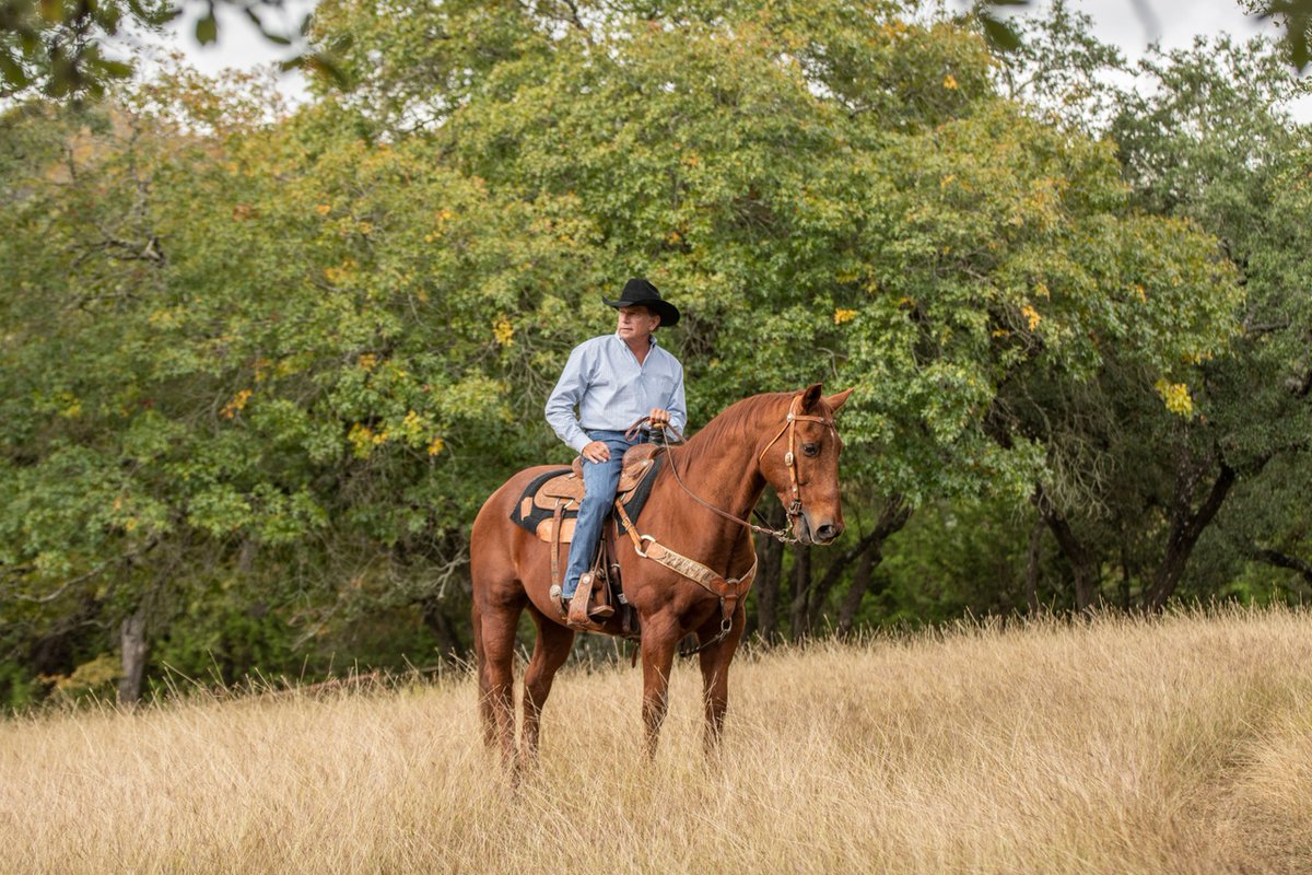 Here's to blue clear skies this weekend! 🐎 #BlueClearSky

📸: Tony Andrew