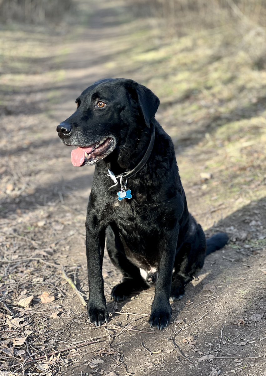 Tony Walker. tweet media