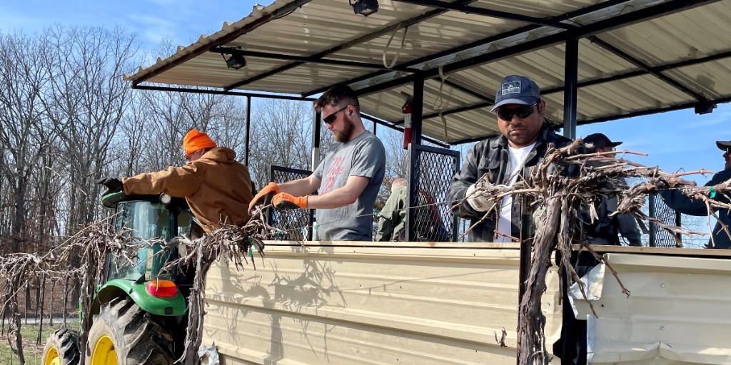 NEW blog post is live! 🥂 Hear from the experts, Vineyard Manager Sam Cobb, Events Manager Gina Robinson, and Executive Winemaker Andrew Meggitt: ow.ly/Ecyo50Nxrje