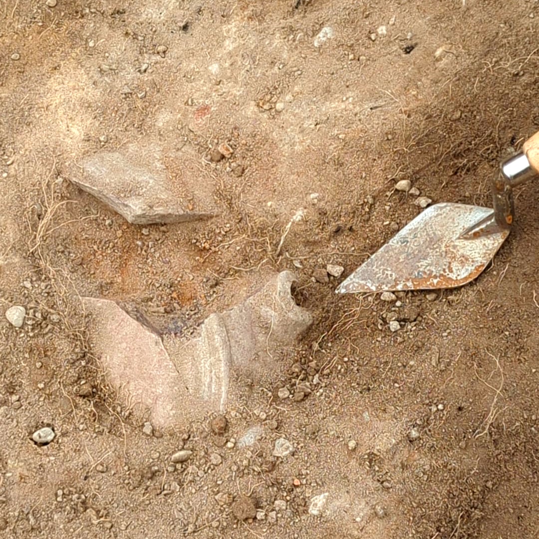 TheDigVenturers's tweet photo. Archaeology Guessing Game 234: What is this?!  

Can you guess what this #medieval pot from #SoultonDig was for?

#archaeology #findsfriday https://t.co/XFJgpUvzC1