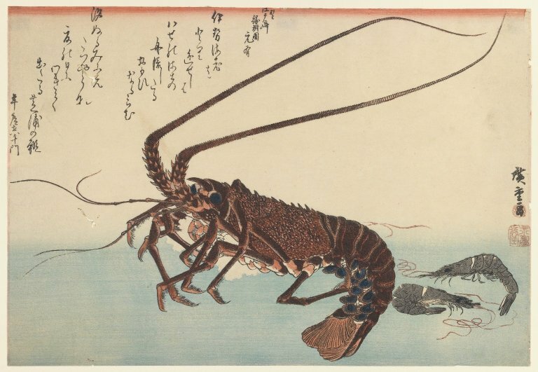 Crayfish and two shrimps, 1845 #hiroshige #utagawahiroshige wikiart.org/en/hiroshige/c…