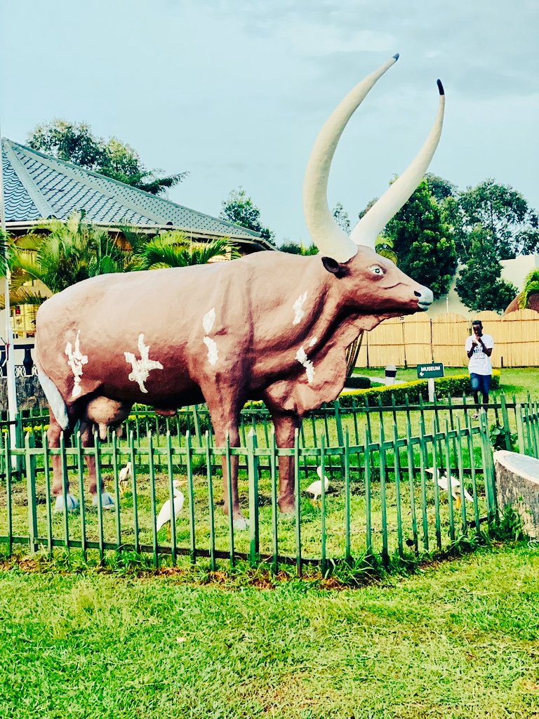 JovinySsempala's tweet photo. I can't imagine that we are just counting days to the Explore Elgon trip. Let's gain content and knowledge about the region of milk and honey
#ExploreAnkole
#Explorewestern
#ExploreUganda
@MTWAUganda
@UWA https://t.co/537bKwp9xj