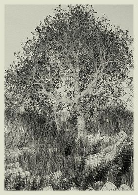 Today in Tezos art history (2022-03-31) <a href="/zancan/">zancan 🌿</a> sold objkt #659942 (edition of 15) on Hic et Nunc, raising 1000 tez. teia.art/objkt/659942

Lushtemples — Spirit Animal
I like that you bind Earth with the sky. 
That you feed on History. 
I love to confront your complexity,..