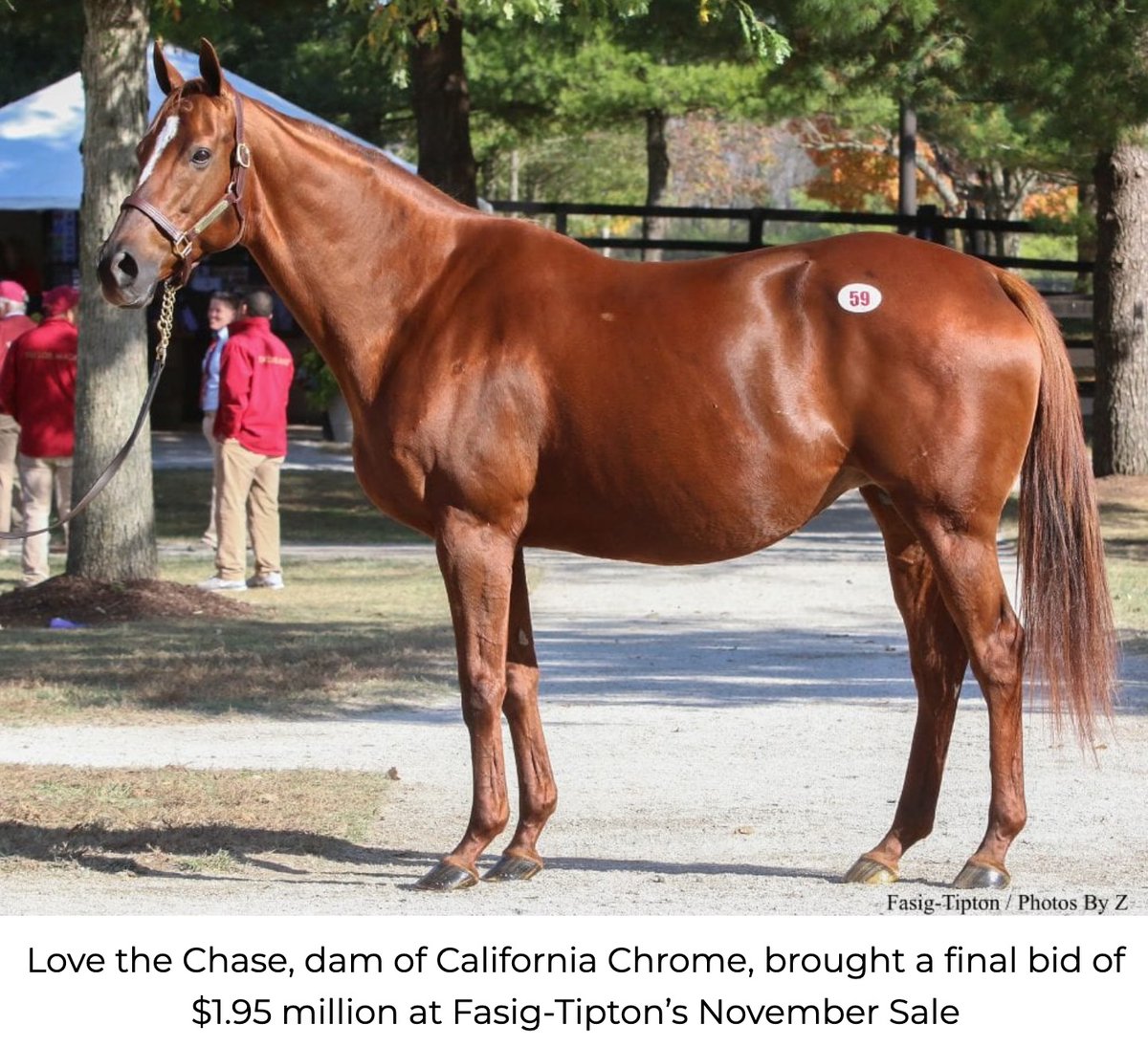 Kathie Roller-Stell tweet media