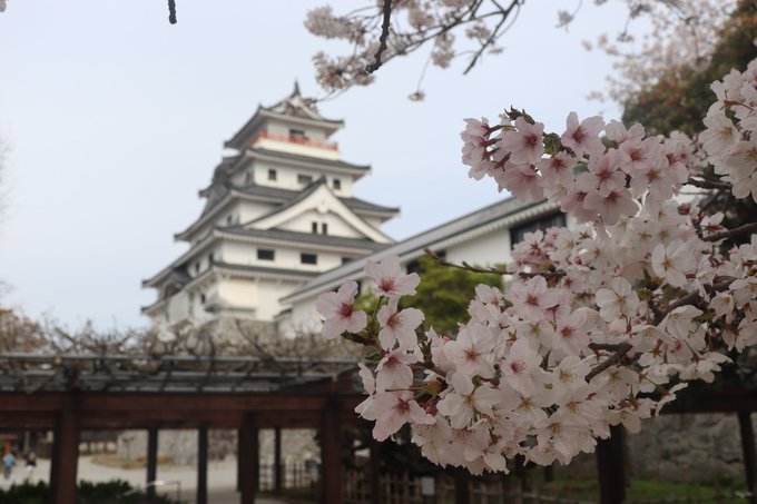 この5日間がとにかく楽しかったです。唐津を中心に伊万里と博多に飯塚という割と広い範囲で移動が大変ではありましたが、 ユー