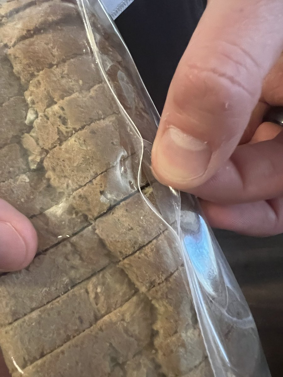 taysocrayy's tweet photo. @CanyonGFree was hoping to enjoy the Ancient Grain GF loaf in the “stay-fresh” package to find a tampered seal and extremely moldy bread. #hungry https://t.co/ltaK2KYOsm