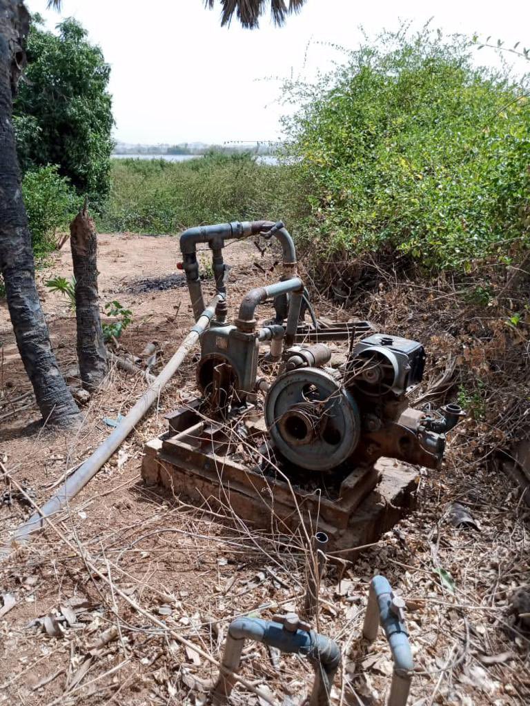 🌾 Visite d’une #PME à Tillaberi (la ferme Bijou &amp; Frères) à l'arrêt ! Malgré la pause, le potentiel est immense 🌱. Des opportunités uniques pour la région s'y cachent. Impatient de voir cette terre fertile s'épanouir et contribuer à l'essor local ! (1/2)