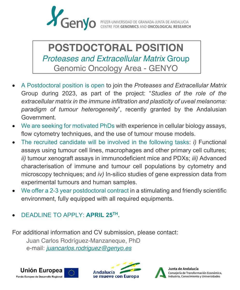 OPEN POSTDOCTORAL POSITION at the Proteases and Extracellular Matrix Group @eMatrixGENYO @genyo_pts #ExtracellularMatrix #ADAMTSproteases #uvealmelanoma 👇👇👇