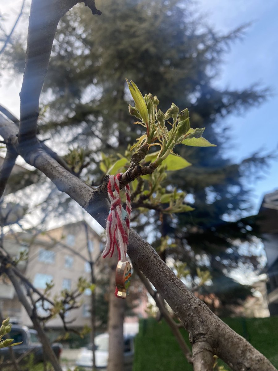 31 mart geldiyse… bize iyi gelecek şifa olacak herşeyin bizi bulması dileğiyle…#marteniçka #bahar