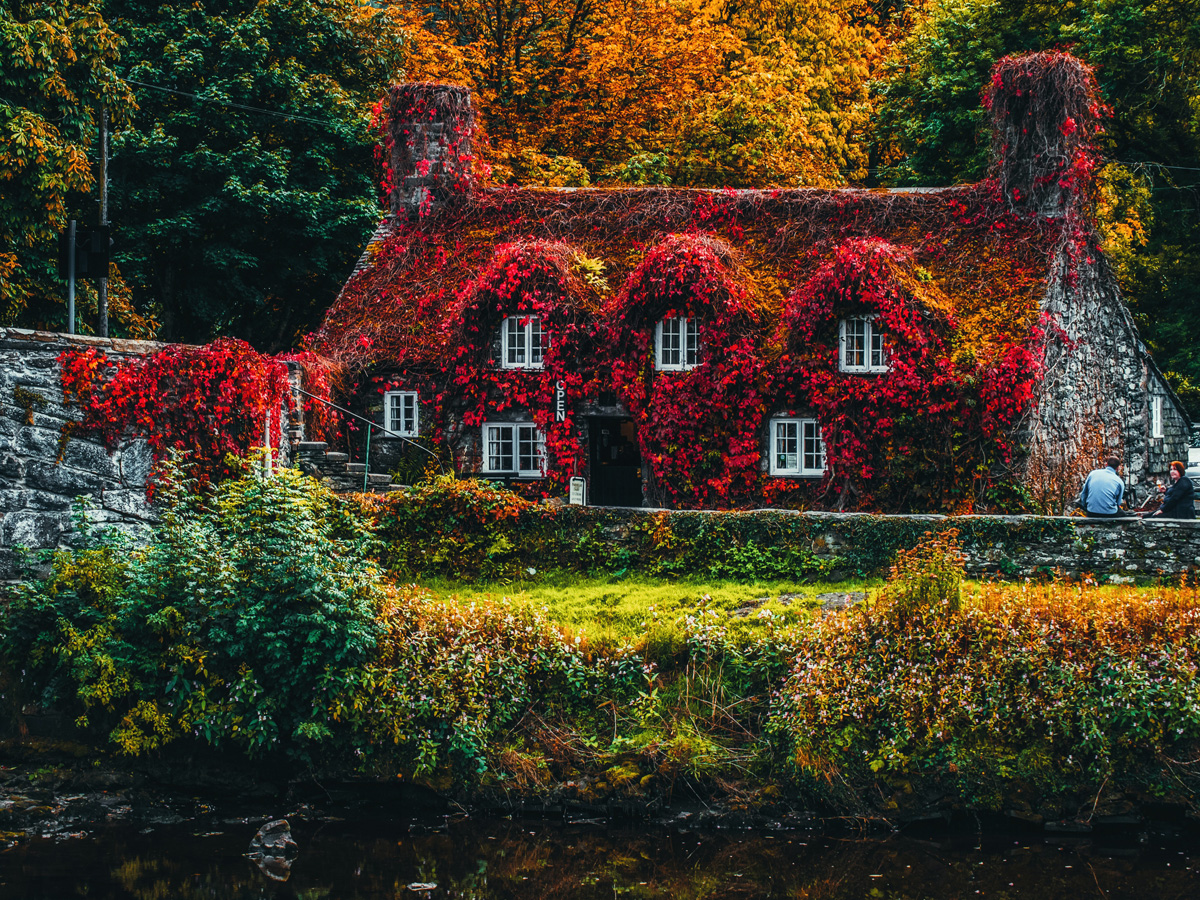 Non fatevi rovinare l’autunno da buio e umidità! Scoprite tutto nel nostro articolo! engelvoelkers.com/d/7a2c/