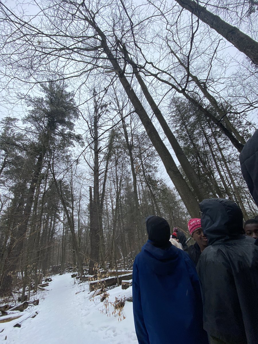 Silver Creek Outdoor Education Centre (@dpoutdoored) on Twitter photo The wet weather didn’t dampen <a href="/StJoeBramDPCDSB/">St. Joseph Elementary School Brampton</a> students spirits today! They seven got a chance to see a whole group of our resident Turkey vultures who have returned after the winter months! The wet weather didn’t dampen <a href="/StJoeBramDPCDSB/">St. Joseph Elementary School Brampton</a> students spirits today! They seven got a chance to see a whole group of our resident Turkey vultures who have returned after the winter months!