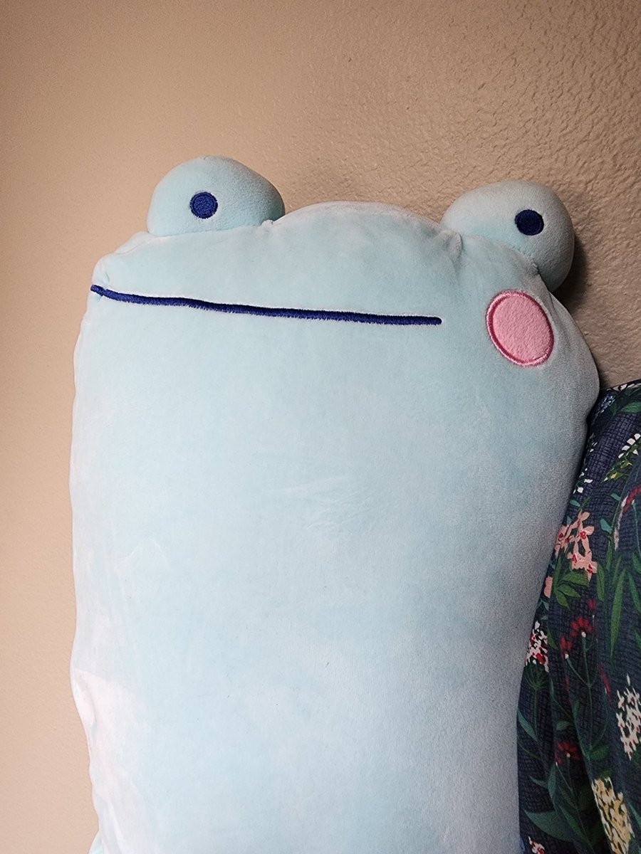 tinyfoxtrot's tweet photo. Both my partners and my cat keep trying to take long frog from me >:( #rainylune #longfrog #Frog #FrogFriday https://t.co/qh5GzxfFEl
