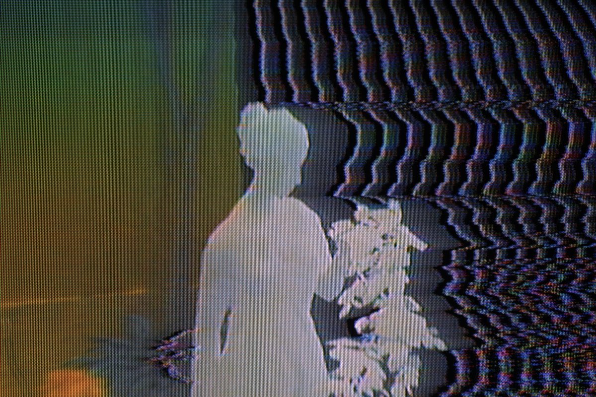 Flashes of Calm in the Persian Garden